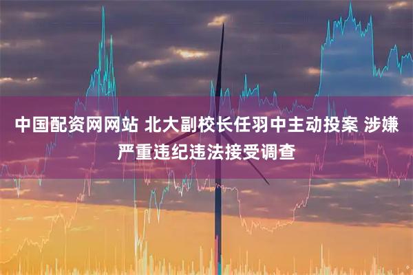 中国配资网网站 北大副校长任羽中主动投案 涉嫌严重违纪违法接受调查
