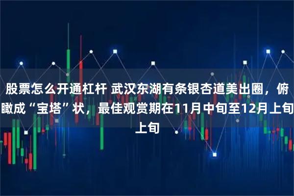 股票怎么开通杠杆 武汉东湖有条银杏道美出圈,俯瞰成“宝塔”状,最佳观赏期在11月中旬至12月上旬