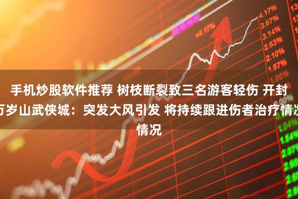 手机炒股软件推荐 树枝断裂致三名游客轻伤 开封万岁山武侠城：突发大风引发 将持续跟进伤者治疗情况