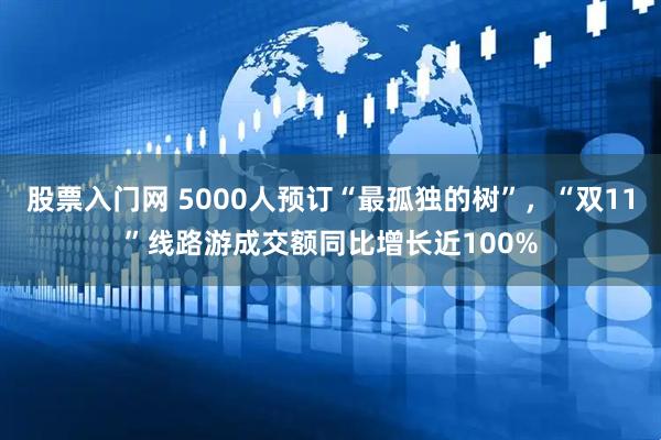 股票入门网 5000人预订“最孤独的树”，“双11”线路游成交额同比增长近100%